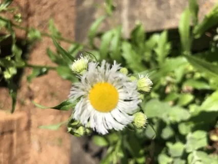 Circles Of Protection & Empowerment