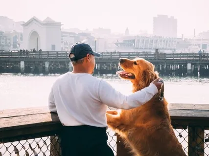 Walking Your Dog In The City