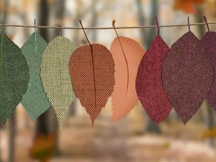 Claiming Joy: My Daily Choice