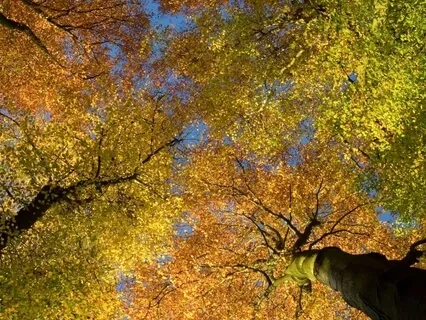 Claiming Space For Your Self