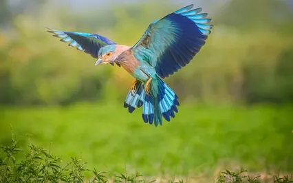 Clairaudience - The Hearing Clair Of Spirit Work