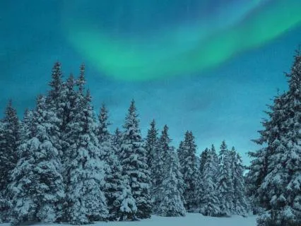 Clara And The Winter Stars