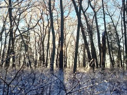 Clarifying The Present Moment