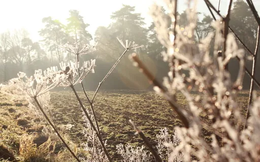 Clarinet For Peace And Deep Sleep - 10mins