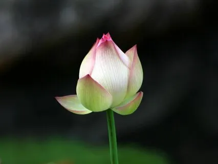 Clarity - A Mindful Jewish Moment