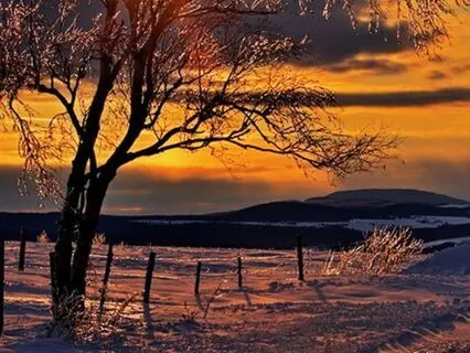 Clarity: A Poetic Process