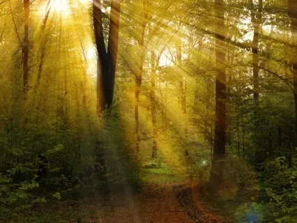 Clarity & Calm Meditation