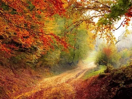 Clarity And Calm Through The Seasons Of Life