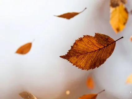 Clarity And Centred Focus: From Confusion To Clearness