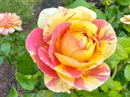 Clarity And Self Compassion For Educators