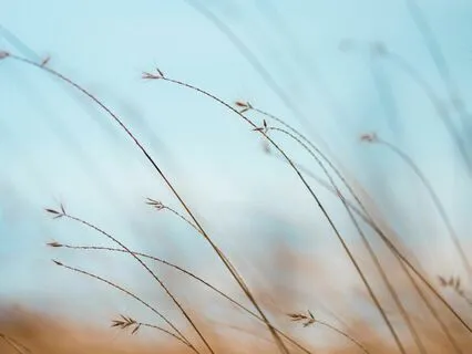 Clarity & Calm | Morning Breathwork & Meditation | 17-Mins