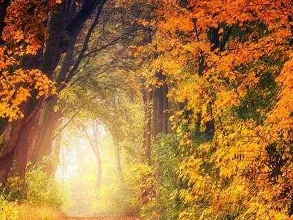 Clarity Cove Music For Mindfulness