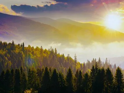 Clarity For Decision Making