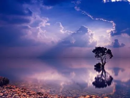 Clarity For Solving Problems