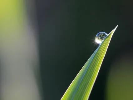 Clarity In One Minute