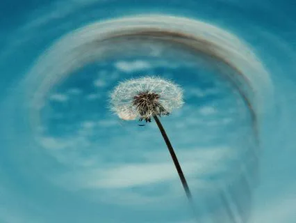 Clarity In The Details Gate 9 Focus Activation Human Design