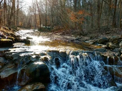 Clarity Boost & Anxiety Release Meditation