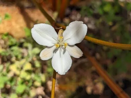 Clarity | Mindful Motivation