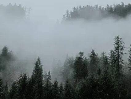 Clarity's Call - Concentration Cadence