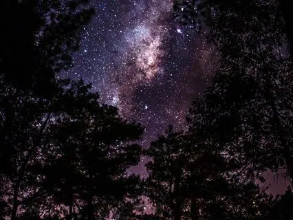 Clarity's Call - Focus Symphony