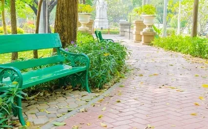 Classical Guitar Journey