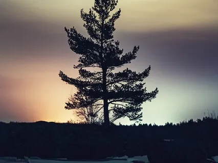 Classical Piano Meditations