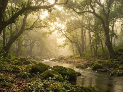 Classical Relaxation Open Fields