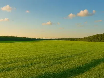 Classical Relaxation Winds in the Field Meditation