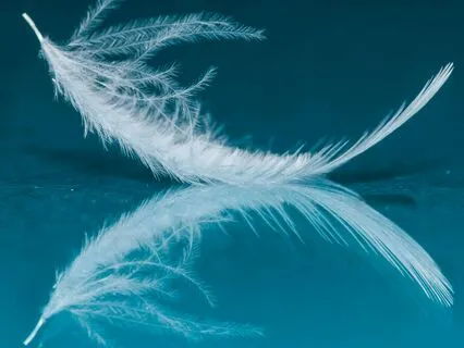 Classical Yoga Nidra From Swami Satyananda