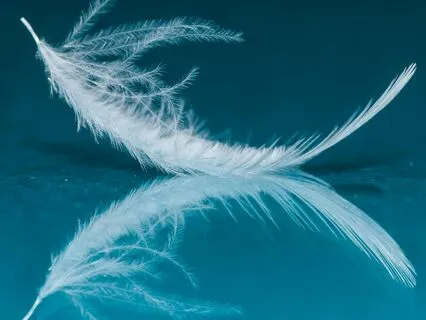 Classical Nidra Short Version