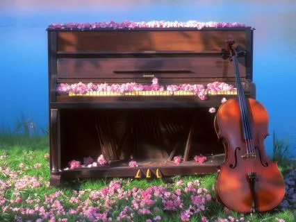 Classics Reimagined | Gentle Focus | Canon in D