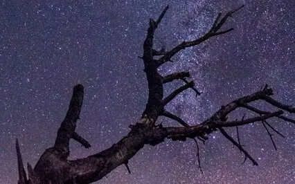 Clean Sleep Music With Delta Brainwaves