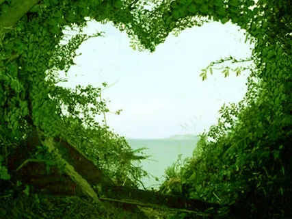 Introduction To Cleaning And Rejuvination