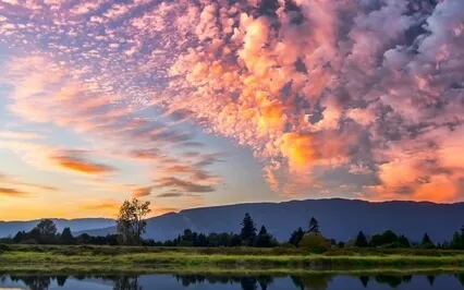 Cleanse All Negative Energy In & Around You - 417Hz Music