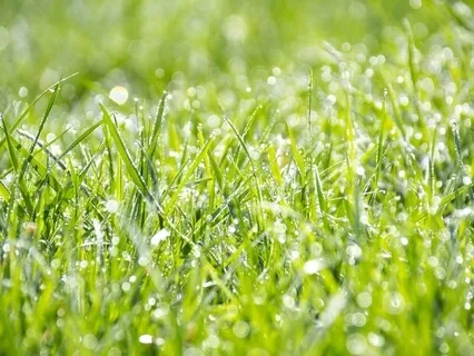 Cleanse & Expand Your Energy