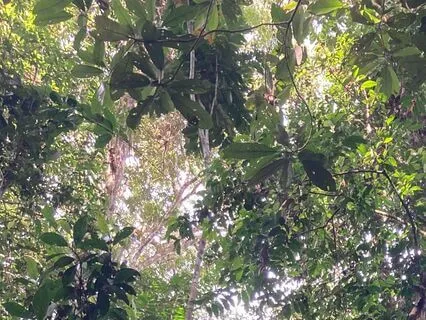 Cleanse And Ground: Yoga Nidra