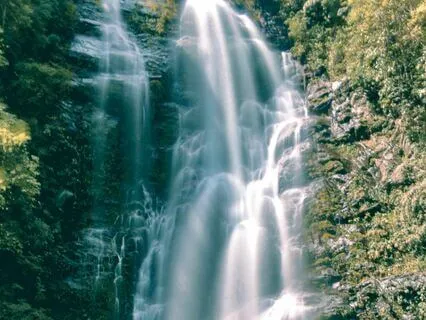 Cleanse And Raise Your Energy With The Source Light Shower