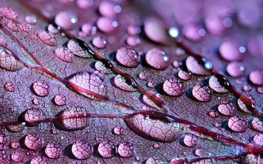 Cleanse Subconscious Negative Patterns