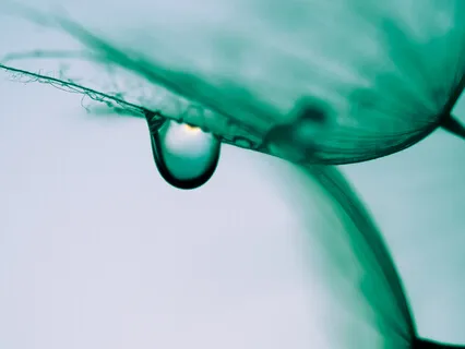 Cleanse The Third Eye