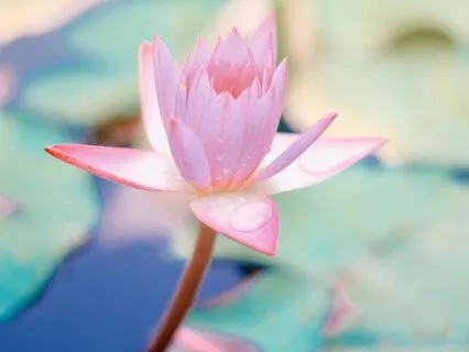 Cleanse Your Body And Aura With Energy Vacuuming