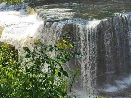 Cleanse Your Energy Body