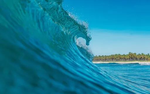 Cleanse Your Vibration & Chakra Healing