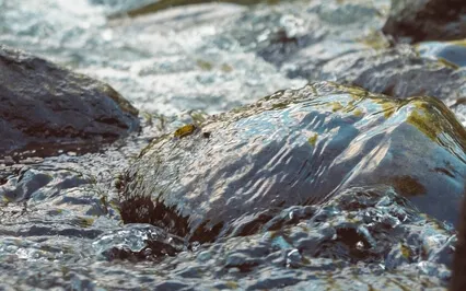 Cleansing And Calming Water Meditation Journey