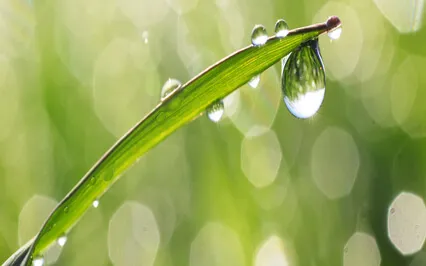 Cleansing & Grounding Meditation