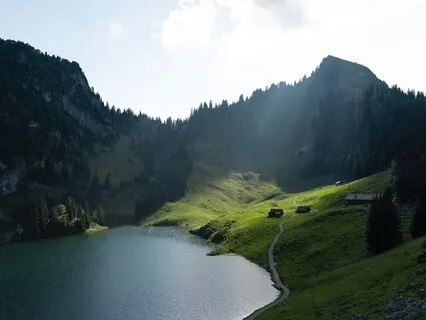 Cleansing & Grounding Session One