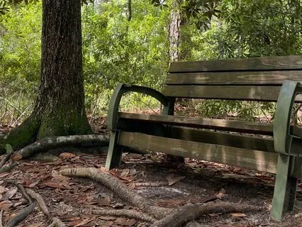 Cleansing And Grounding With Mother Earth