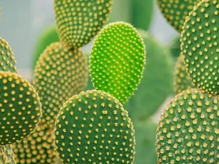 Cleansing And Releasing External Energy