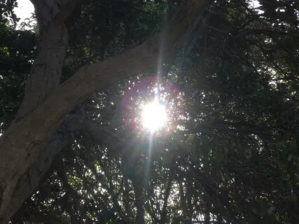 Cleansing & Shielding Song - Acapella