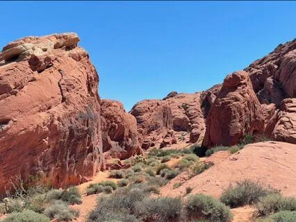 Cleansing Body Meditation