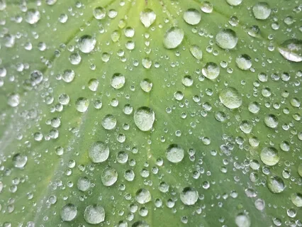 Cleansing Energy Shower